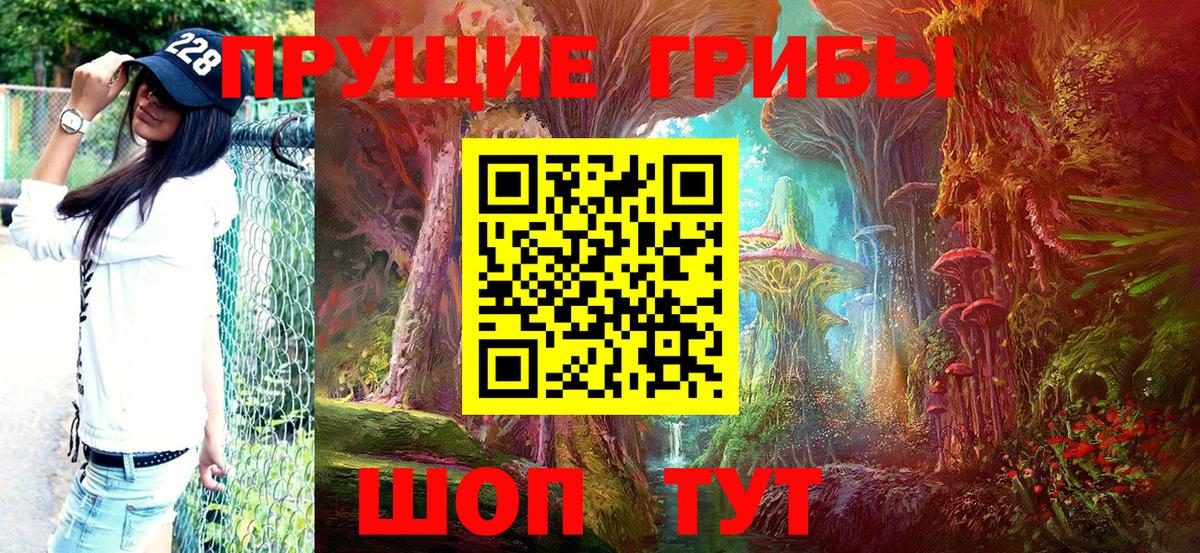 Галлюциногенные грибы ЛСД  Вход с VPN  где продают наркотики  Псилоцибиновые грибы ЛСД  Сертолово 